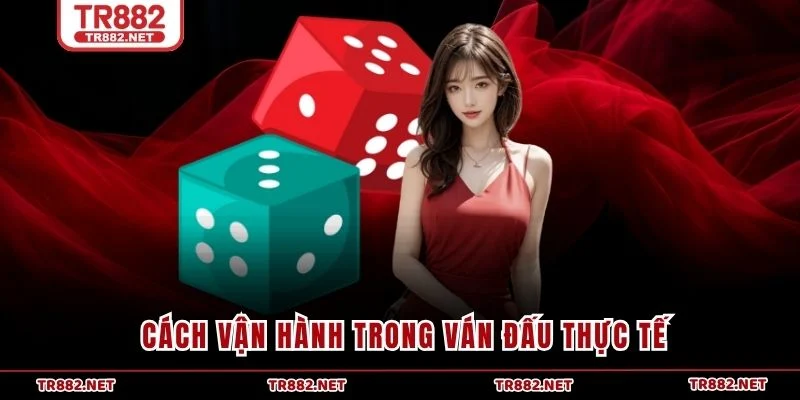 Cách vận hành trong ván đấu thực tế