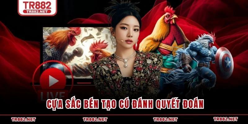 Cựa sắc bén tạo cú đánh quyết đoán