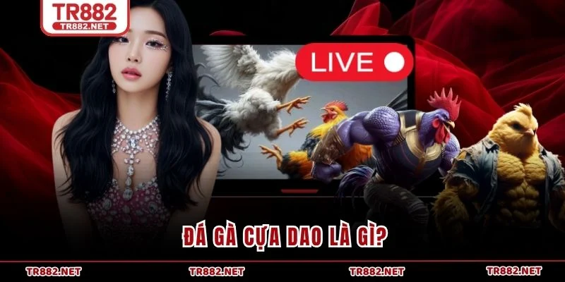 Đá gà cựa dao là gì?