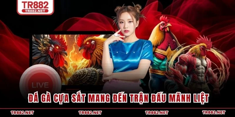 Đá gà cựa sắt mang đến trận đấu mãnh liệt