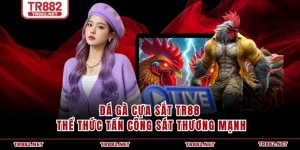 Đá Gà Cựa Sắt