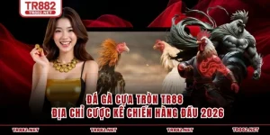 Đá Gà Cựa Dao