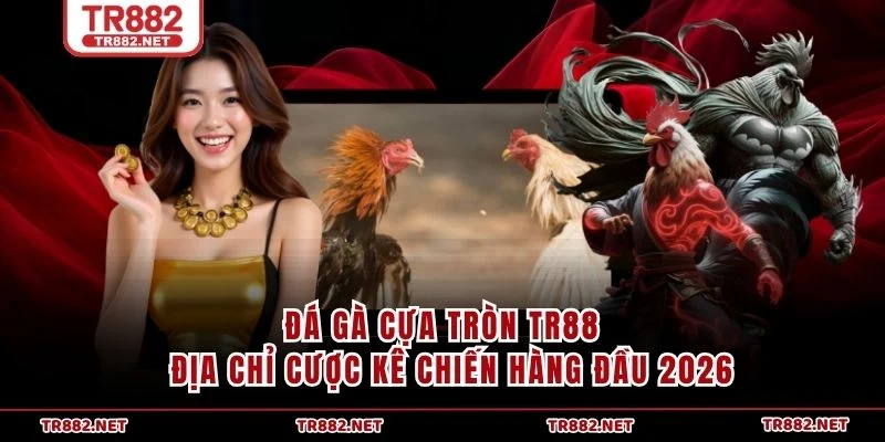 Đá Gà Cựa Dao