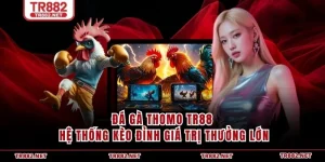 Đá Gà Thomo