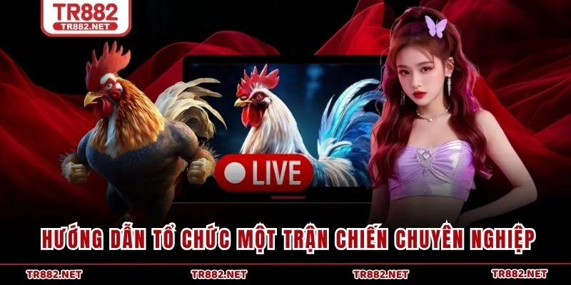 Hướng dẫn tổ chức một trận chiến chuyên nghiệp