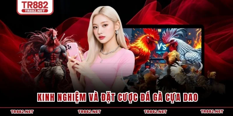 Kinh nghiệm và đặt cược đá gà cựa dao