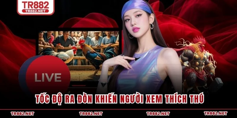 Tốc độ ra đòn khiến người xem thích thú